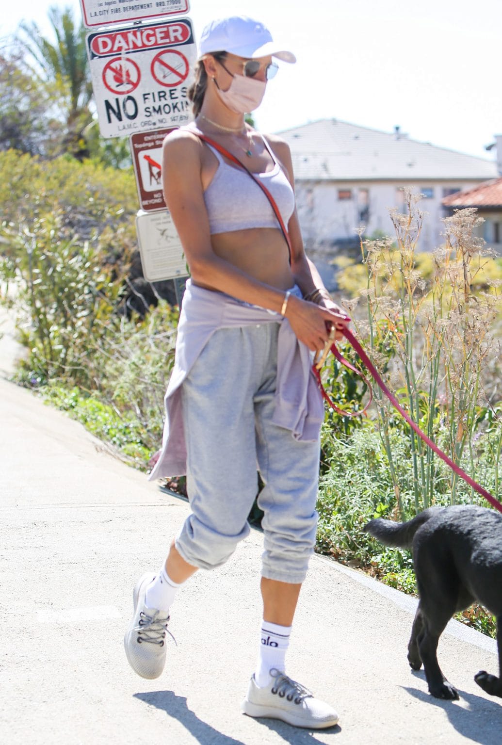 alo sweats