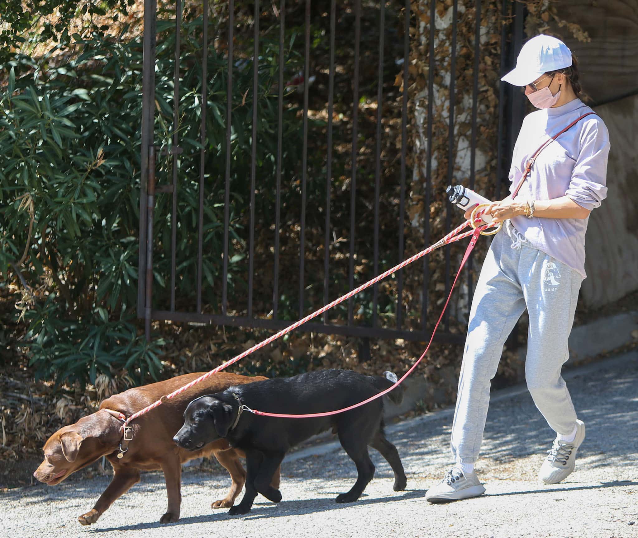 Alessandra steps out with her dogs in a lavender gray sweater and Good American sweatpants