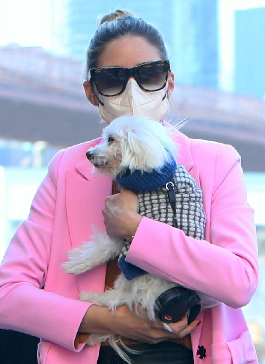 Olivia Palermo wears a white Maskc face mask as she cradles Mr. Butler