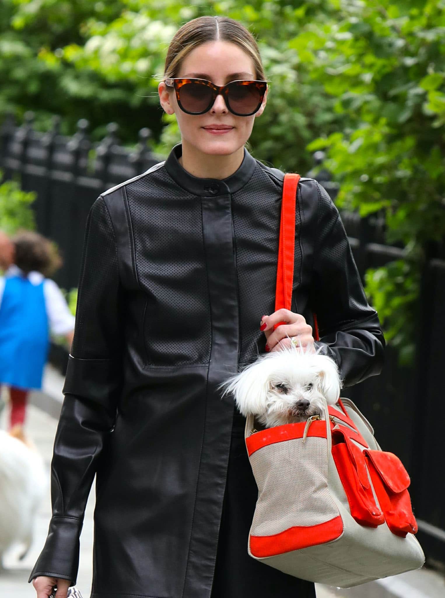 Olivia Palermo pulls her tresses into a neat ponytail as she carries Mr. Butler in a red-and-beige dog carrier