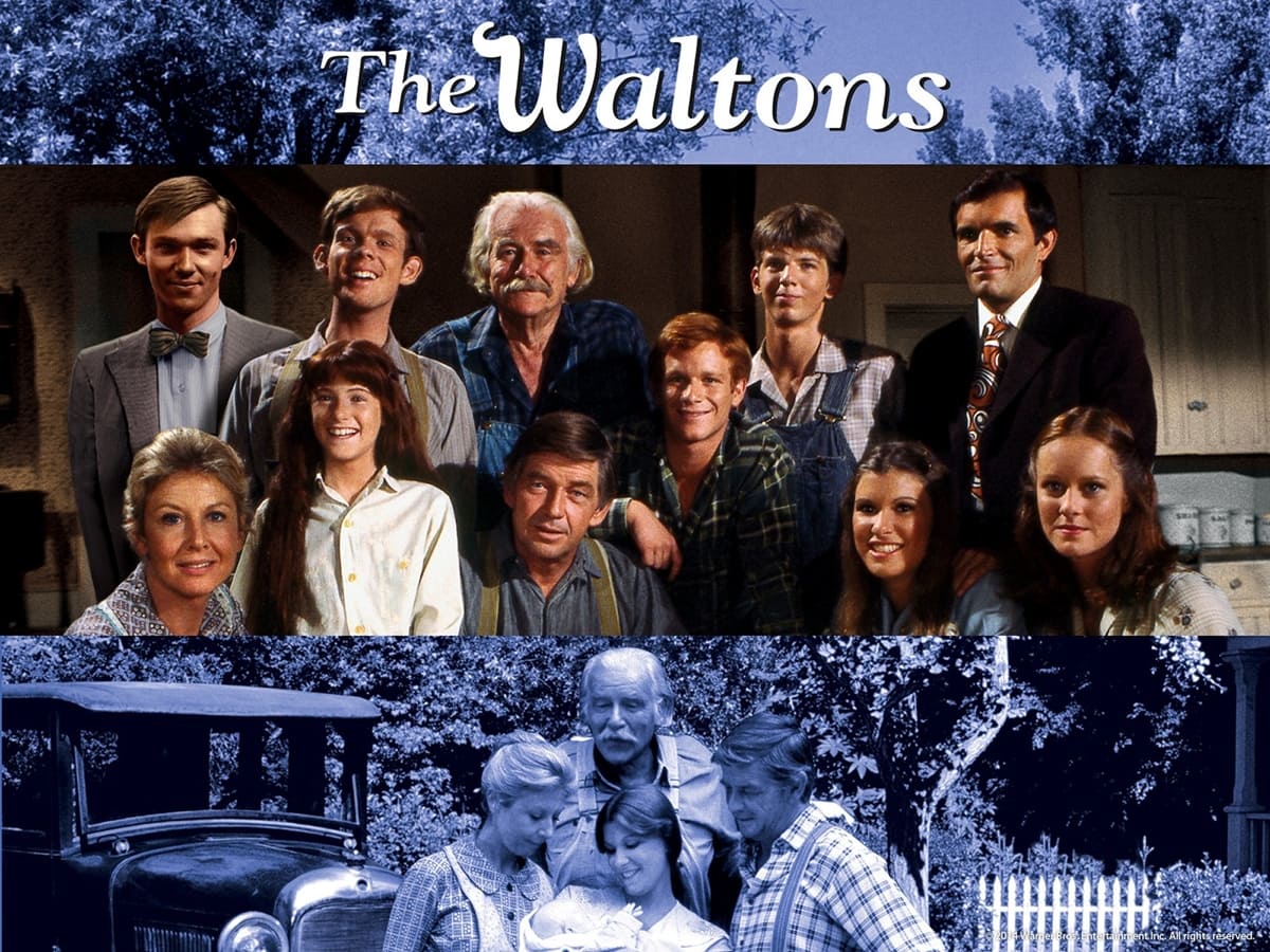 Judy Norton Taylor starred as Mary Ellen Walton in The Waltons, an American historical drama television series about a family in rural Virginia