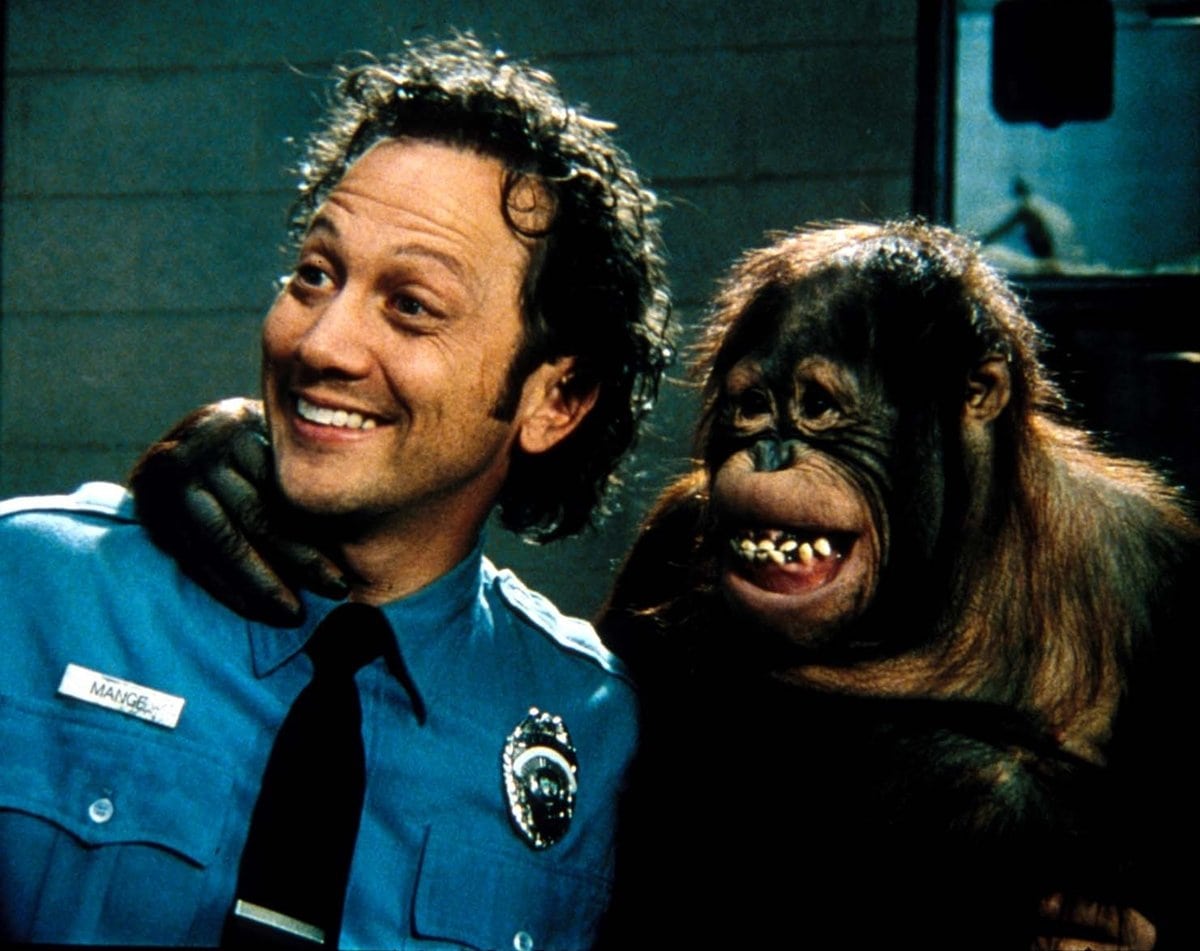 Rob Schneider was 37-years-old when starring as police evidence clerk Marvin Mange in the 2001 American comedy film The Animal