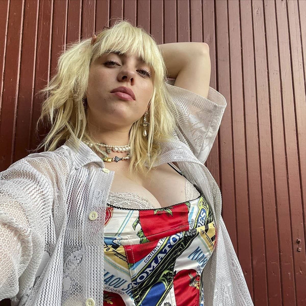 Billie Eilish flaunts her boobs in a graphic corset top from indie fashion label Miaou