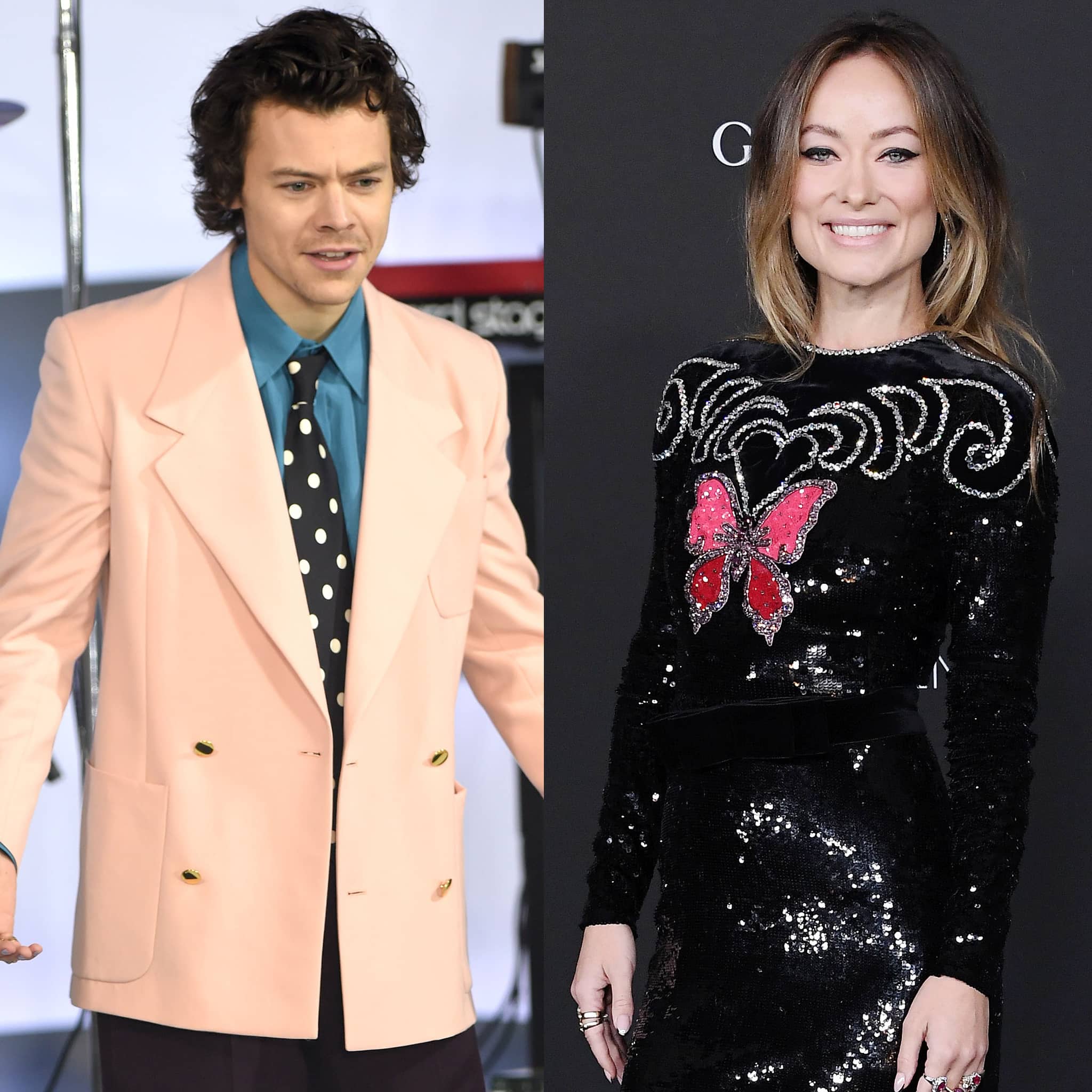 Harry Styles and his 10 years older girlfriend Olivia Wilde have started to get to know each other's families