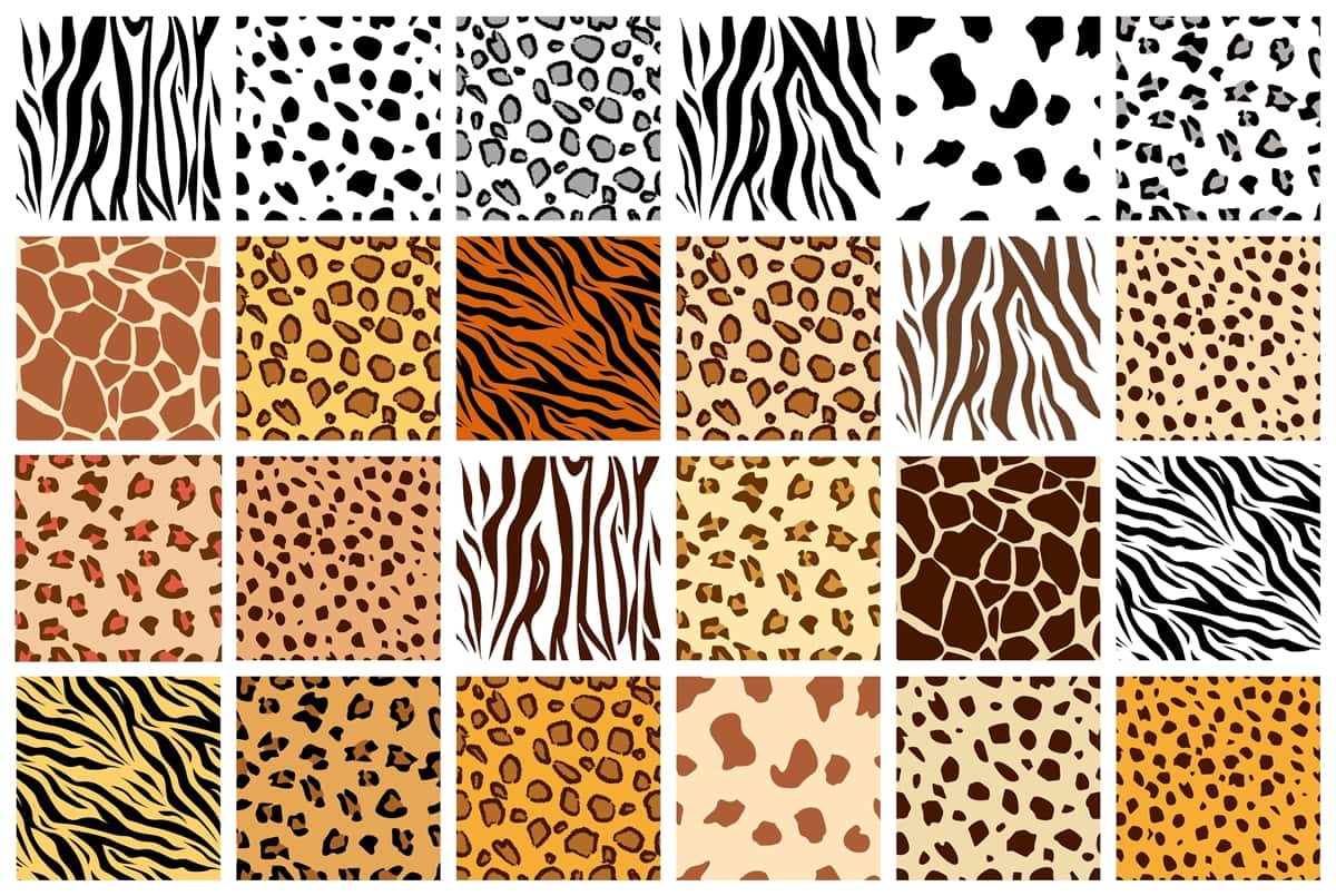 Various animal prints including cheetah, giraffe, tiger, zebra, leopard, dalmatian, cattle, and jaguar