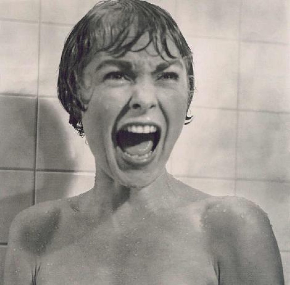 Janet Leigh starred as Marion Crane in Alfred Hitchcock's 1960 American psychological horror-thriller film Psycho