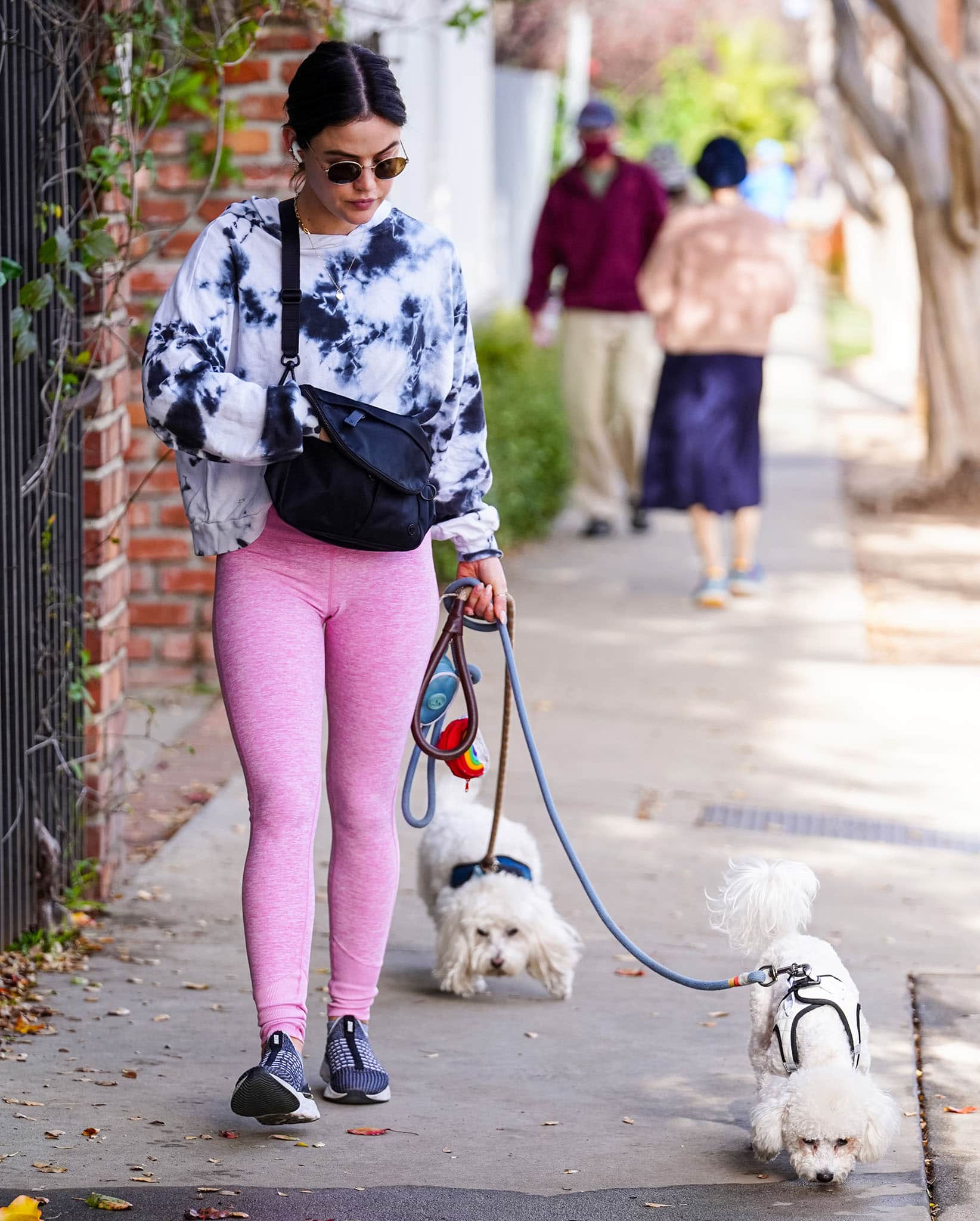 Lucy Hale walks her dogs, Elvis and Ethel, in Los Angeles on January 12, 2022