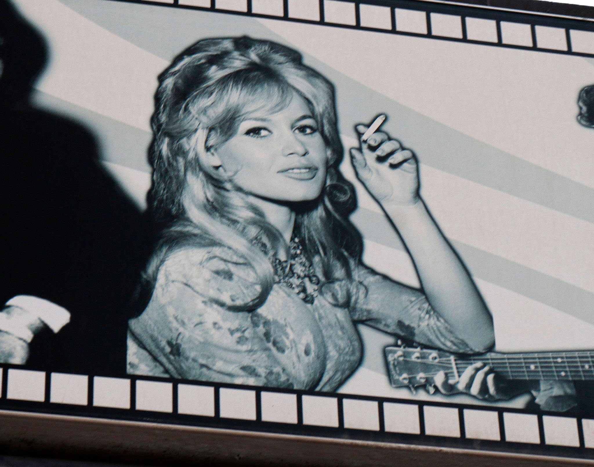 A famous model and actress, Brigitte Bardot was one of the best known sex symbols of the late '50s and '60s