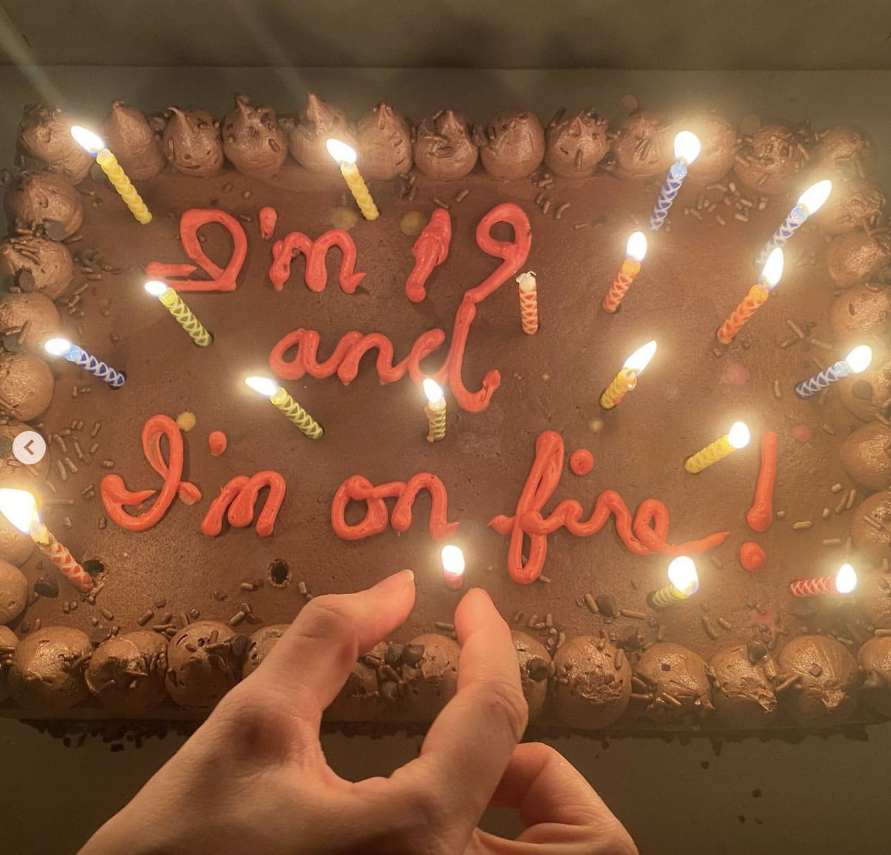 Olivia Rodrigo's 19th birthday cake was designed with a lyric from Lorde's Perfect Places song