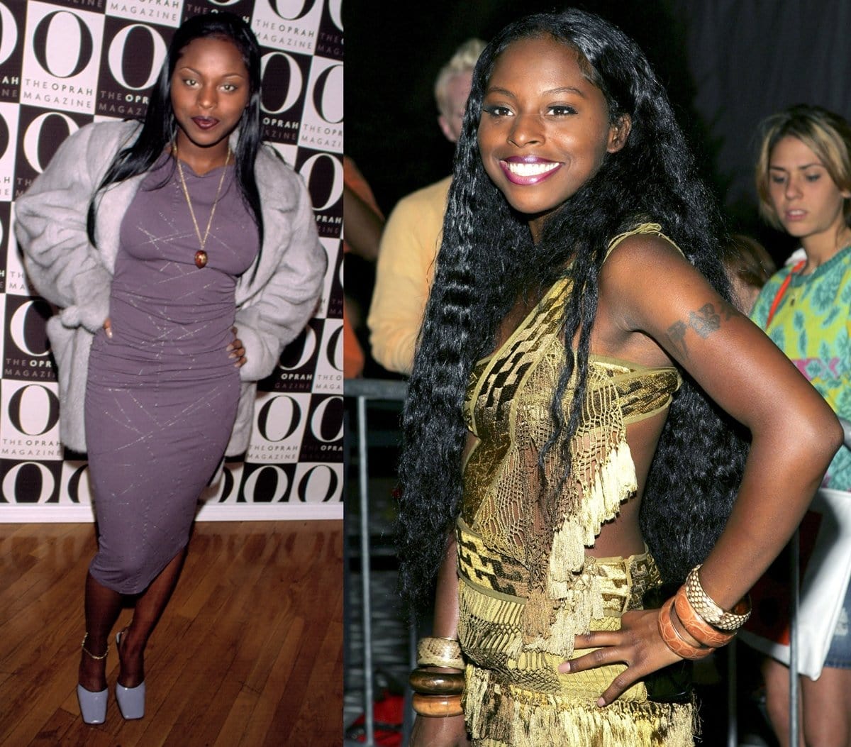 Inga DeCarlo Fung Marchand, professionally known as Foxy Brown, is an American rapper who gained prominence with her debut album "Ill Na Na," and while she has left a mark on the music industry, her current net worth is estimated to be around $3 million