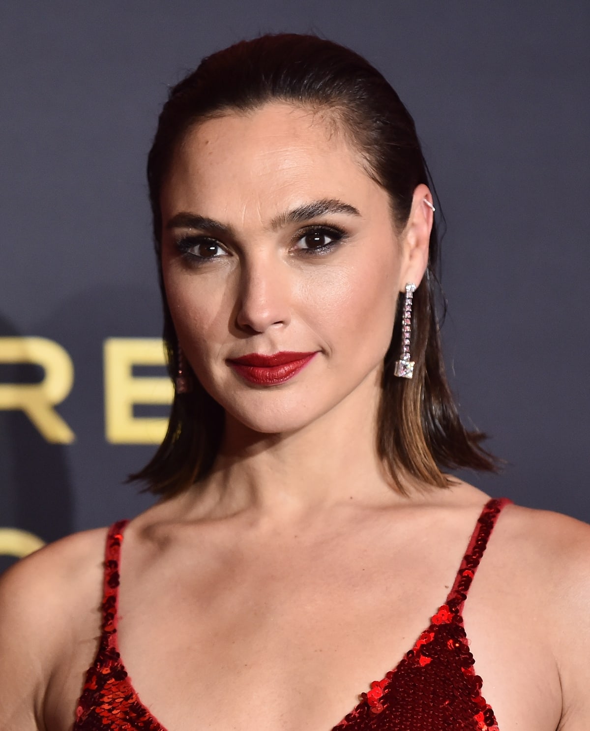 Gal Gadot has light brown eyes and can speak Hebrew, English, and Arabic