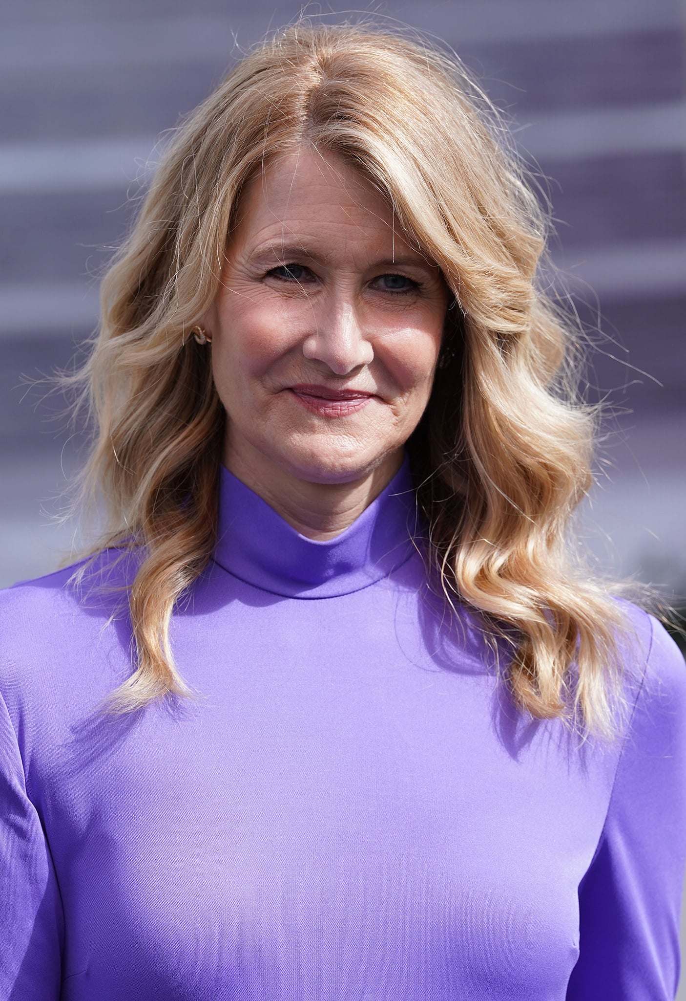 Laura Dern wears her signature curls with light, neutral-colored makeup to enhance her features