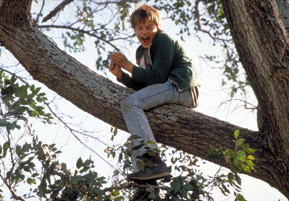 Leonardo DiCaprio as Arnie Grape in What's Eating Gilbert Grape