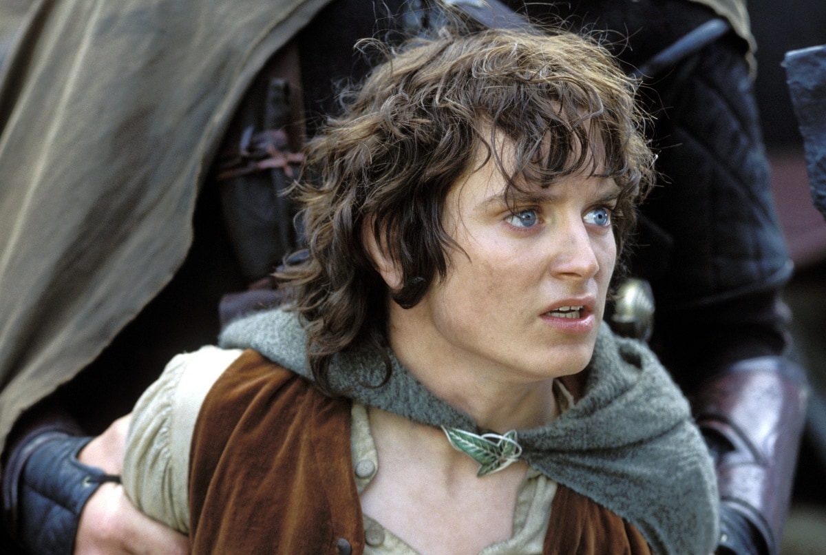 Elijah Wood as Frodo Baggins in The Lord of the Rings: The Two Towers