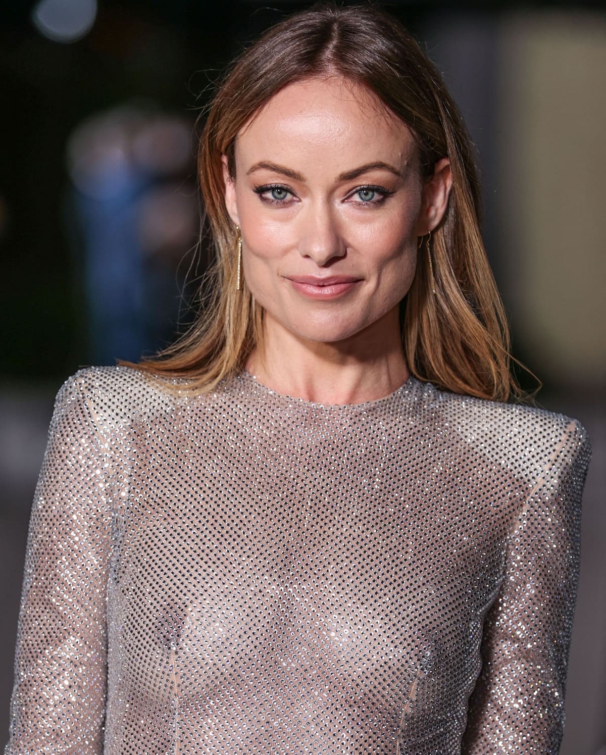 Taking a page from Florence Pugh, Olivia Wilde bares her nipples in a risqué sheer gown