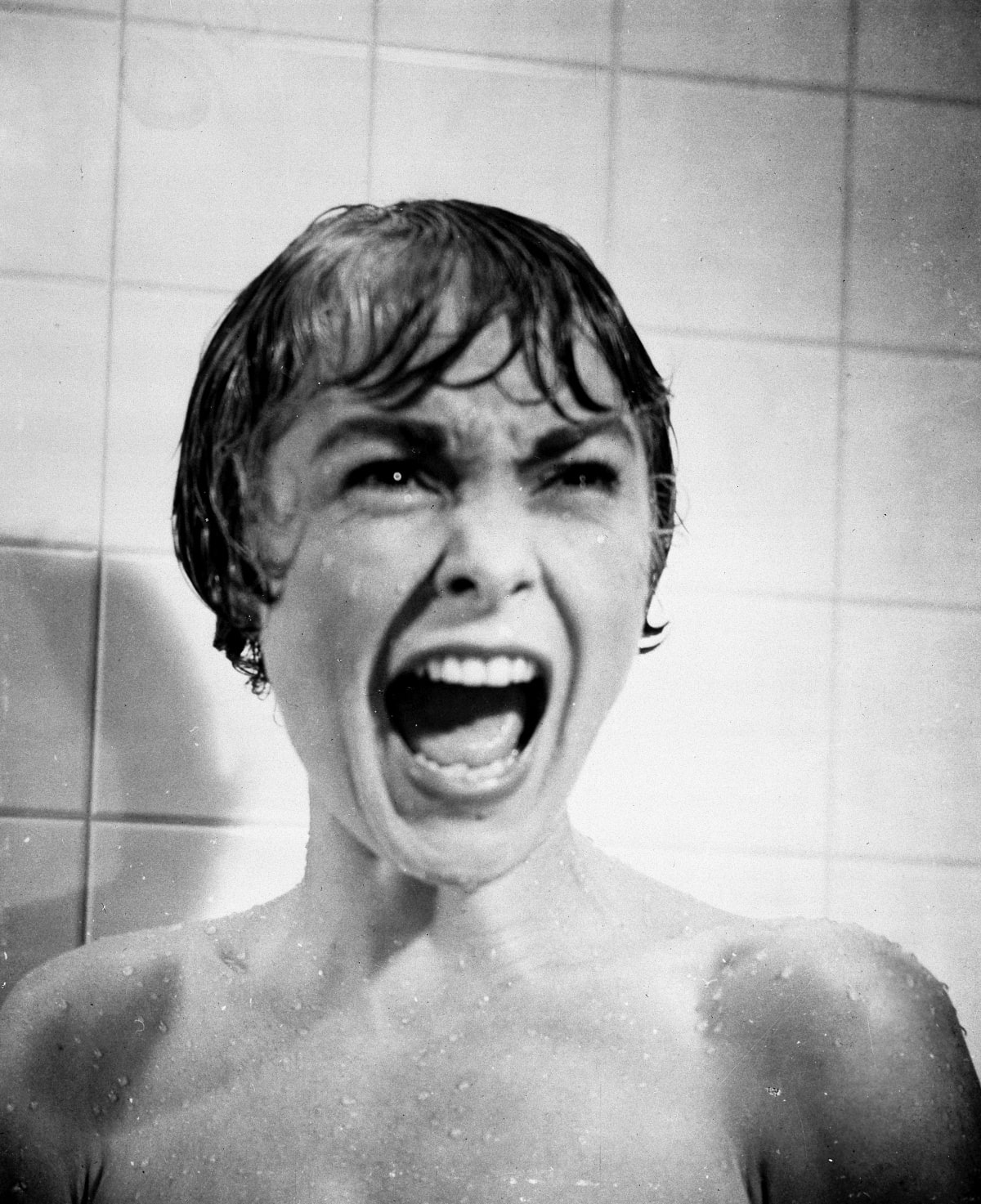Janet Leigh as Marion Crane in the 1960 psychological horror thriller film Psycho