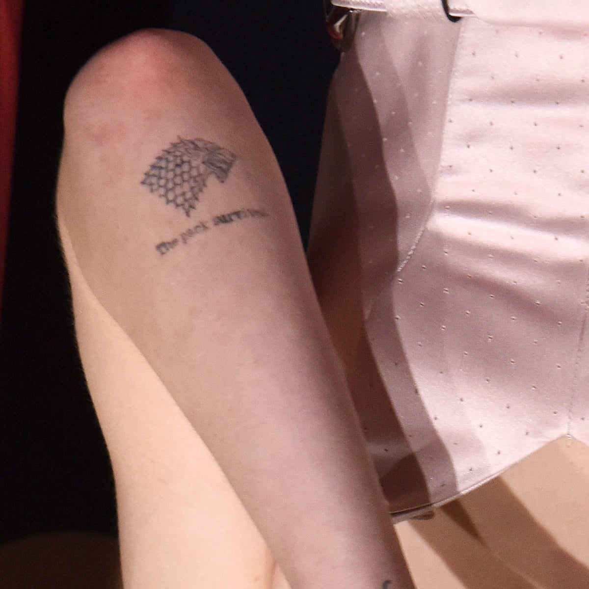 Sophie Turner decided to get a tattoo on her left arm in 2018 as a tribute to her character Sansa Stark and the Stark family's motto, "The pack survives"