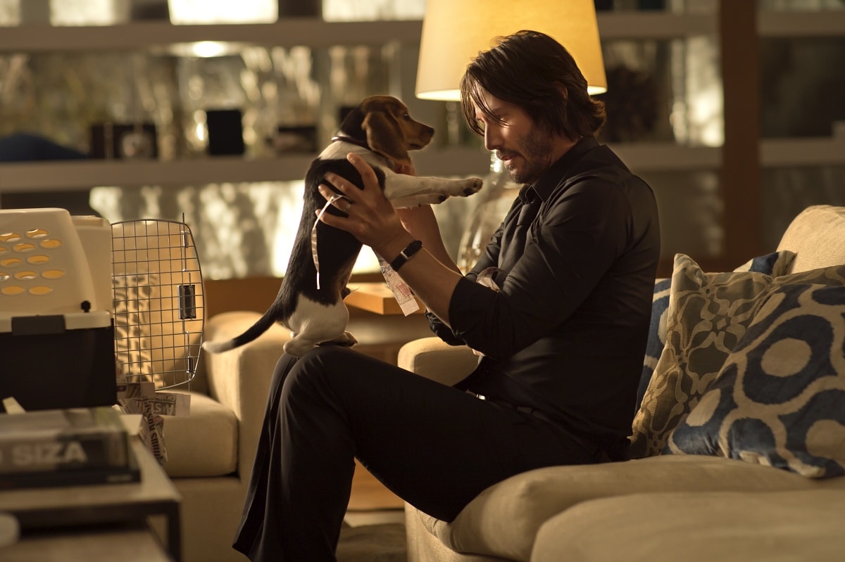 John Wick was released on October 24, 2014 and led to becoming one of the most successful action film franchises with three sequels, multimedia adaptations, and even an upcoming spin-off film and television series