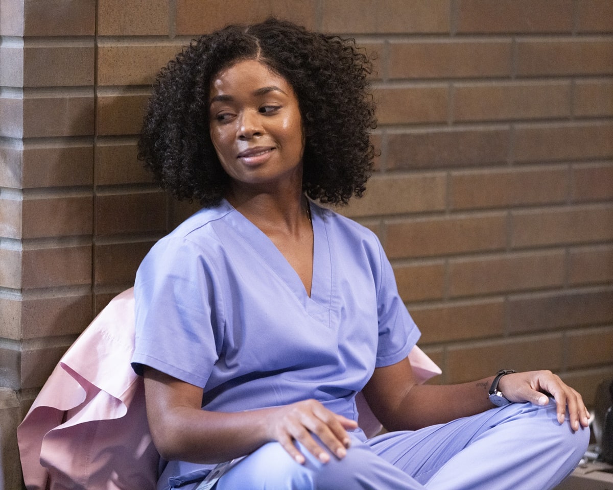 Alexis Floyd, an American actress born on December 22, 1993, is well-known for her role as Neff in Netflix's Inventing Anna and was announced to be a series regular in the 19th season of Grey's Anatomy on July 19, 2022