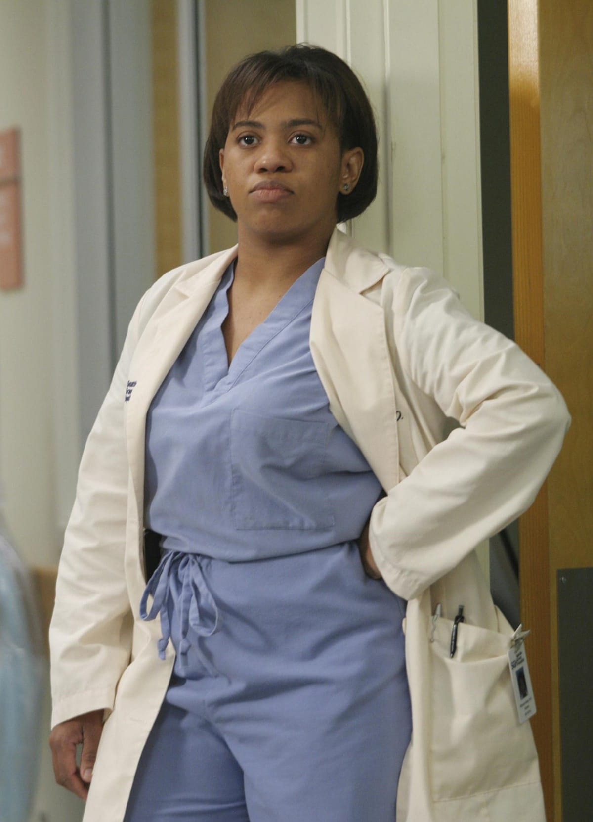 Chandra Danette Wilson has starred as Dr. Miranda Bailey in the popular ABC television drama Grey's Anatomy since 2005, a role which has earned her four Emmy nominations for Best Supporting Actress