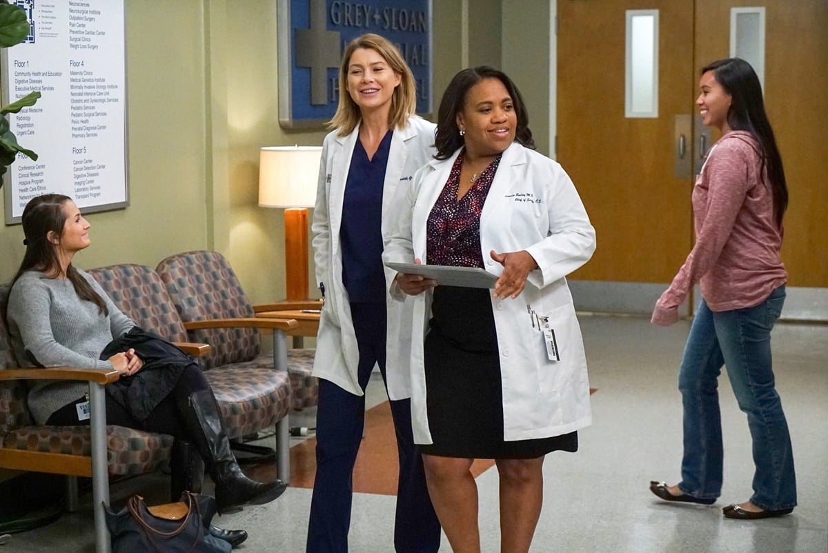 Ellen Pompeo has portrayed Dr. Meredith Grey, the lead role in Grey's Anatomy, since the show's debut in 2005, while Chandra Wilson has played Dr. Miranda Bailey, one of the main characters and Chief of Surgery at Grey Sloan Memorial Hospital, since the first season of the show, which also premiered in 2005
