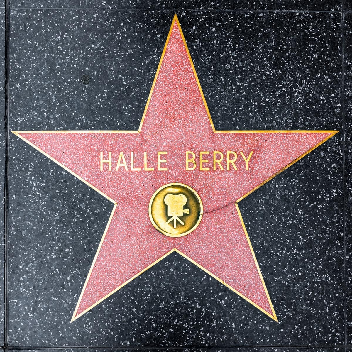 Halle Berry, the first African-American female to win an Oscar for leading actress, received the 2,333rd Walk of Fame Star in 2007