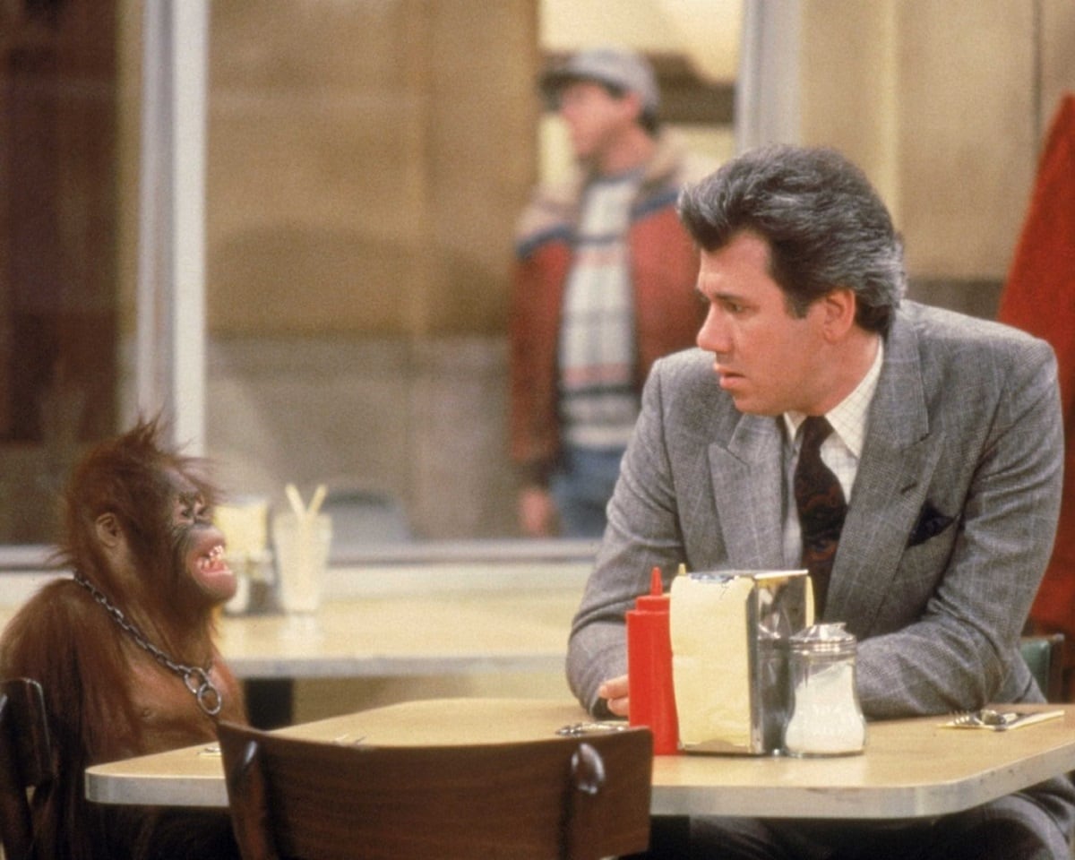 Pictured with an orangutan in Monkey Business, the 19th episode of Season 3 of Night Court, John Larroquette played the character of Dan Fielding, a womanizing prosecutor