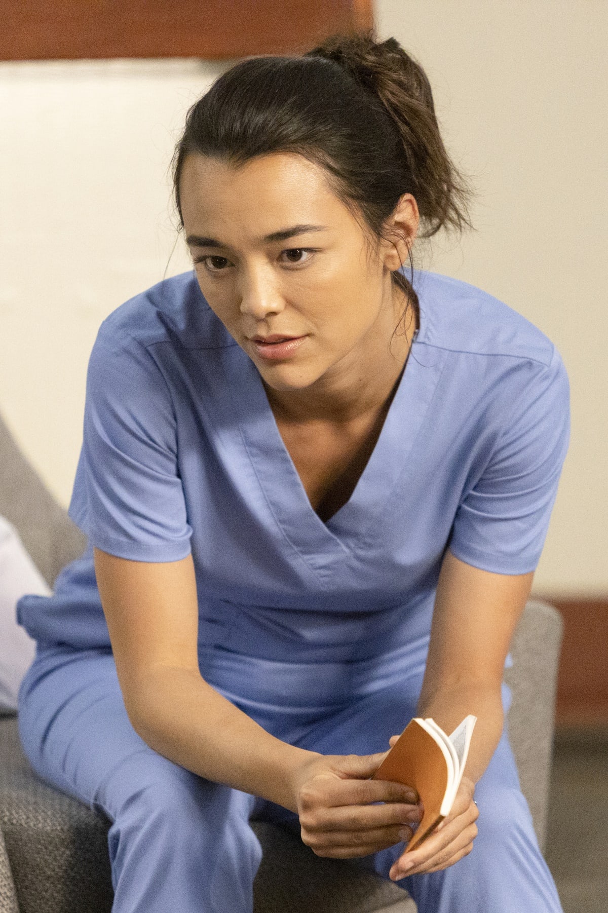 It was announced in July 2022 that Midori Francis had been cast as a series regular for the 19th season of the medical drama Grey's Anatomy on ABC