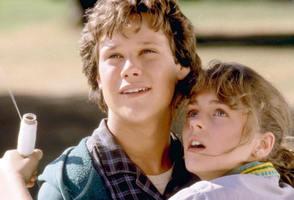 In the 1986 movie "The Boy Who Could Fly," Jay Underwood played the character of Eric Gibb, while Lucy Deakins played the character of Milly