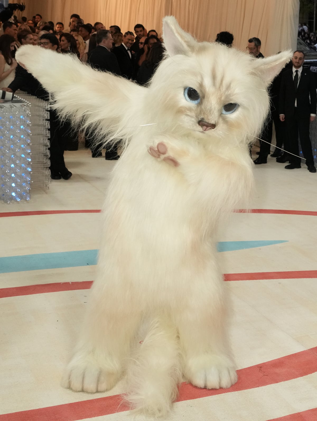 Jared Leto anonymously prancing inside the Metropolitan Museum of Art in a giant, furry Choupette mascot during the 2023 Met Gala on May 1, 2023