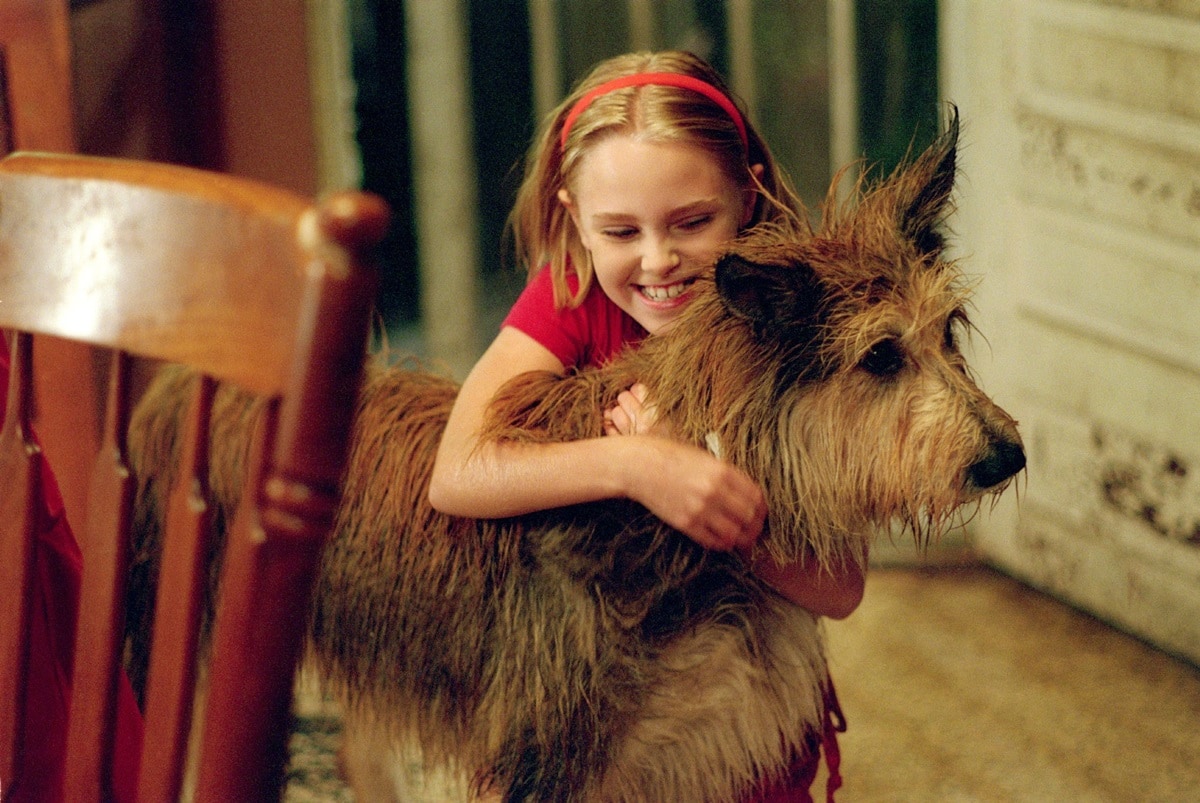 AnnaSophia Robb made her film debut in "Because of Winn-Dixie," a heartwarming and coming-of-age story based on the novel by Kate DiCamillo