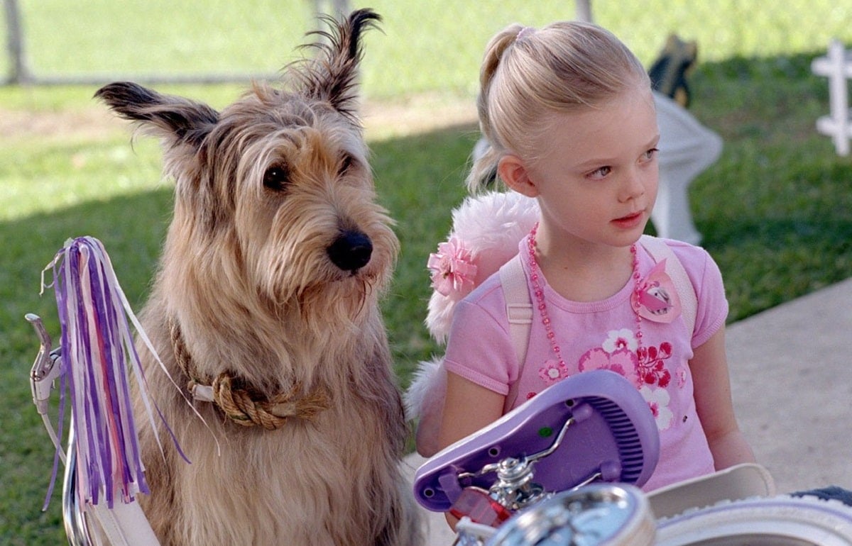 Elle Fanning portrayed the character Sweetie Pie Thomas in "Because of Winn-Dixie" at the age of 5