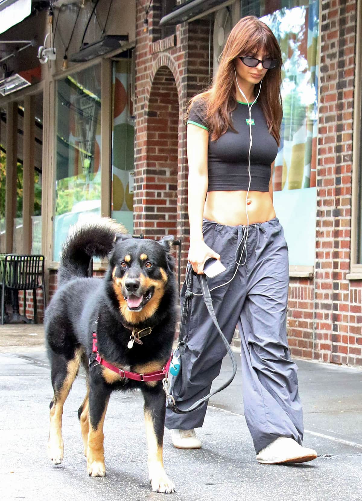 Emily Ratajkowski walks her dog Colombo in a black Brazil-themed crop tee, gray Cotton On cargo parachute pants, and Loewe ballet sneakers
