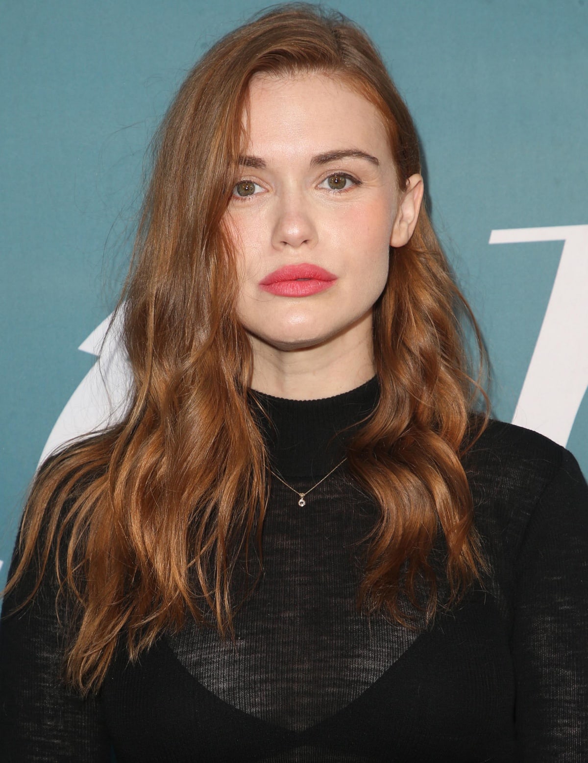 Holland Roden is an American actress, who is best known for her role as Lydia Martin in the hit series Teen Wolf