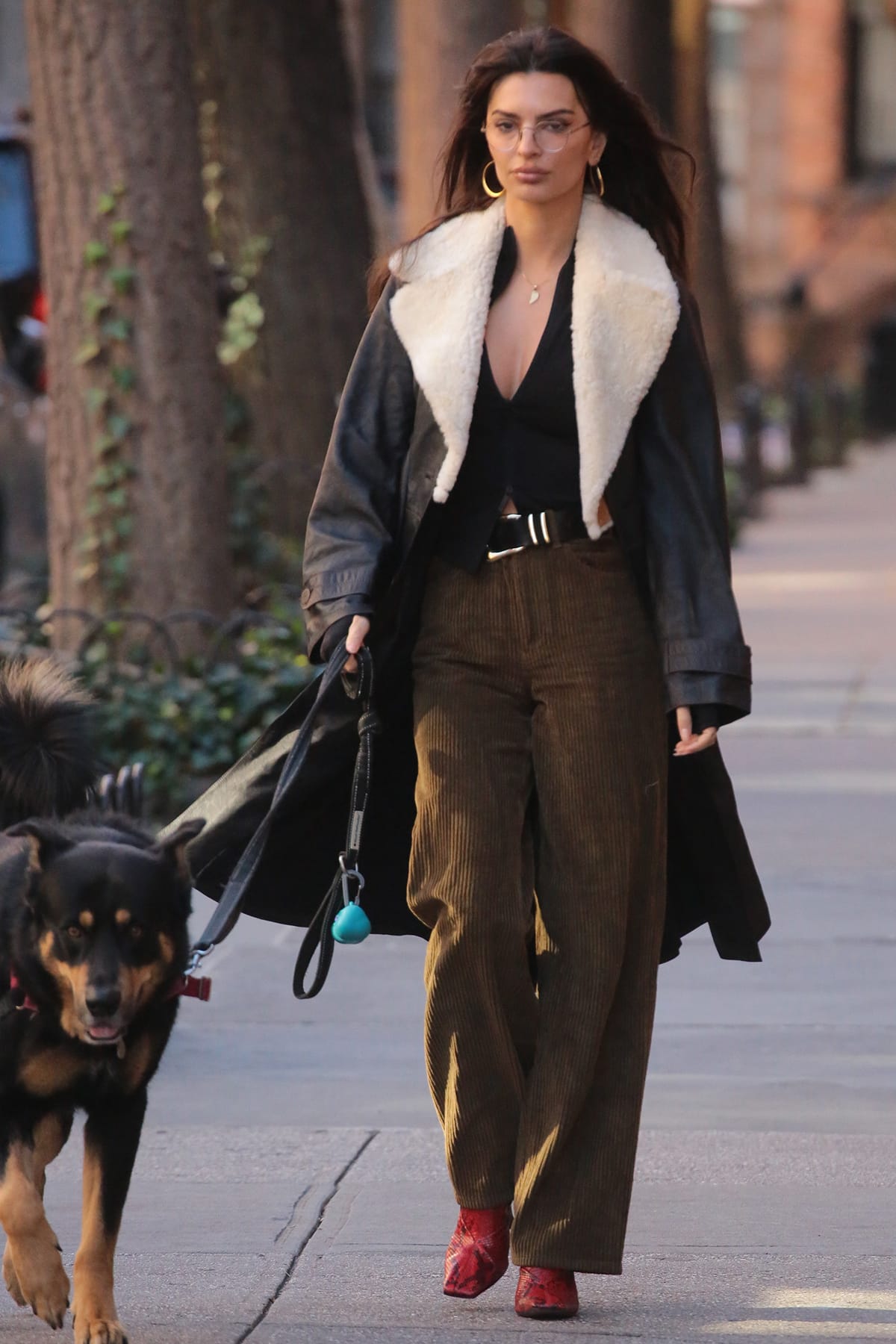 Emily Ratajkowski walks her dog Colombo in a plunging back top, brown corduroy pants, and a black shearling coat by Loewe on December 21, 2023