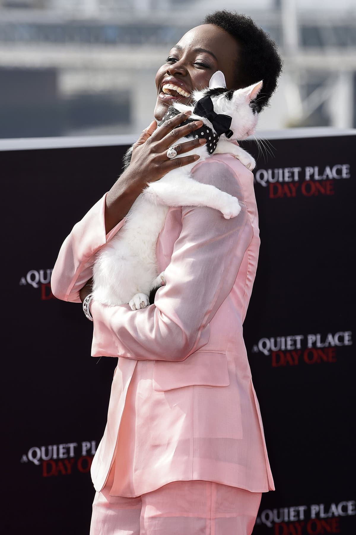 The black-and-white cat Lupita Nyong'o is carrying is her co-star Schnitzel, who plays Frodo in the apocalyptic horror film A Quiet Place: Day One