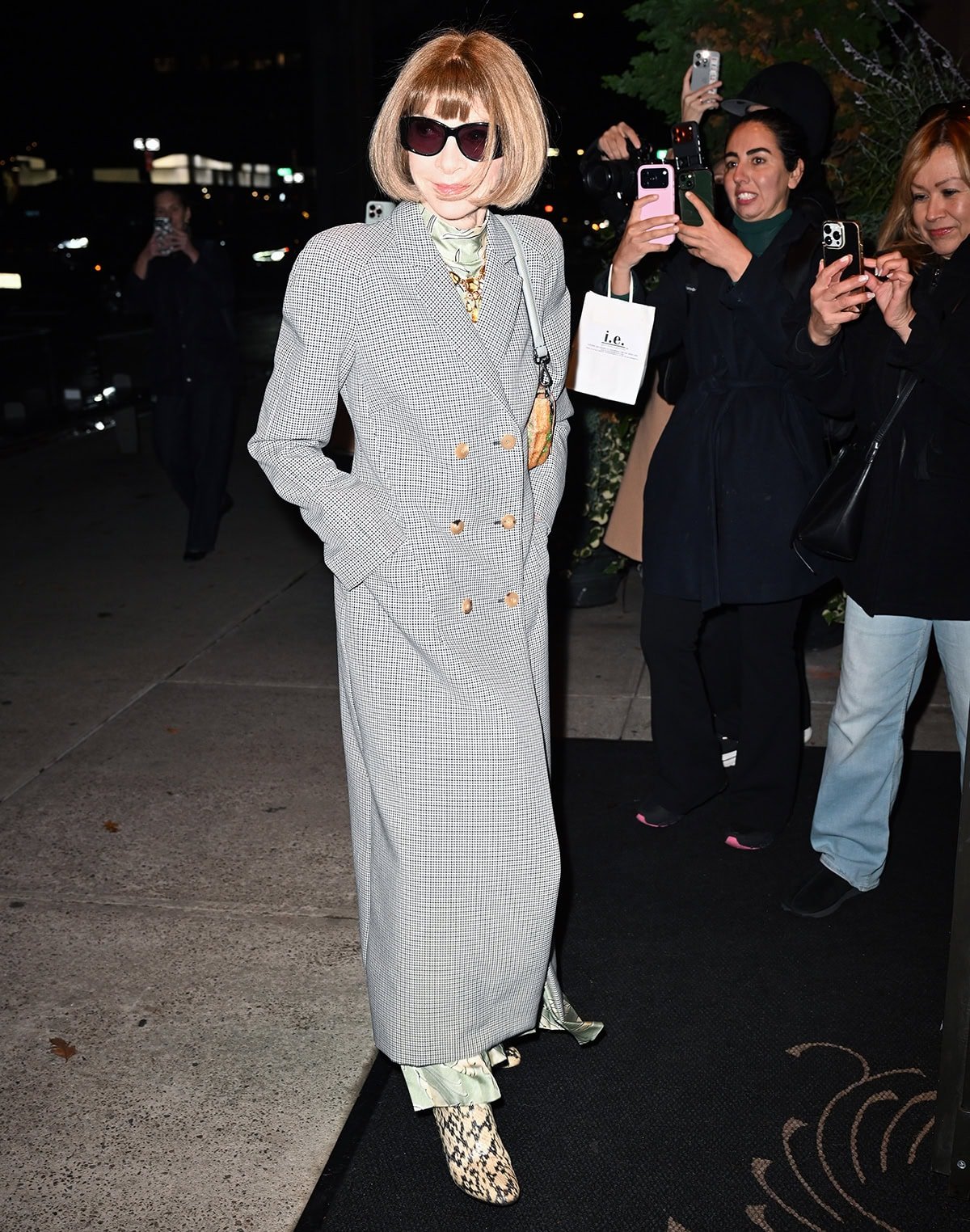 Anna Wintour looks cozy in her checkered coat and green floral dress, styled with a crystal Fendi bag and a pair of oversized sunglasses