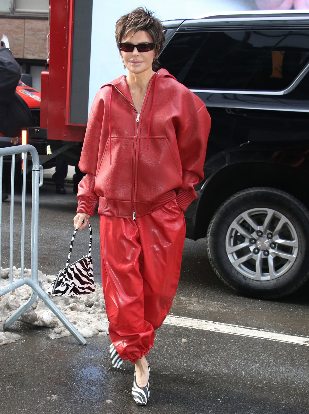 Lisa Rinna teams her zebra pumps with a red The Frankie Shop “Kodai” bomber jacket and glossy red “Briar” balloon pants
